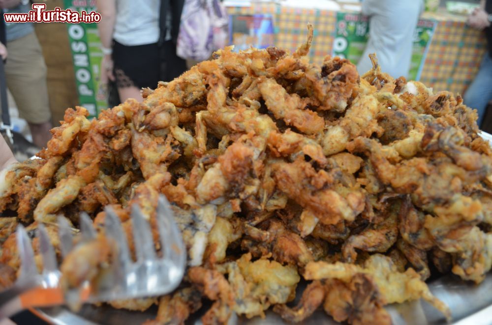 Immagine Un piatto di rane fritte alla sSagra di San Ponso in Piemonte