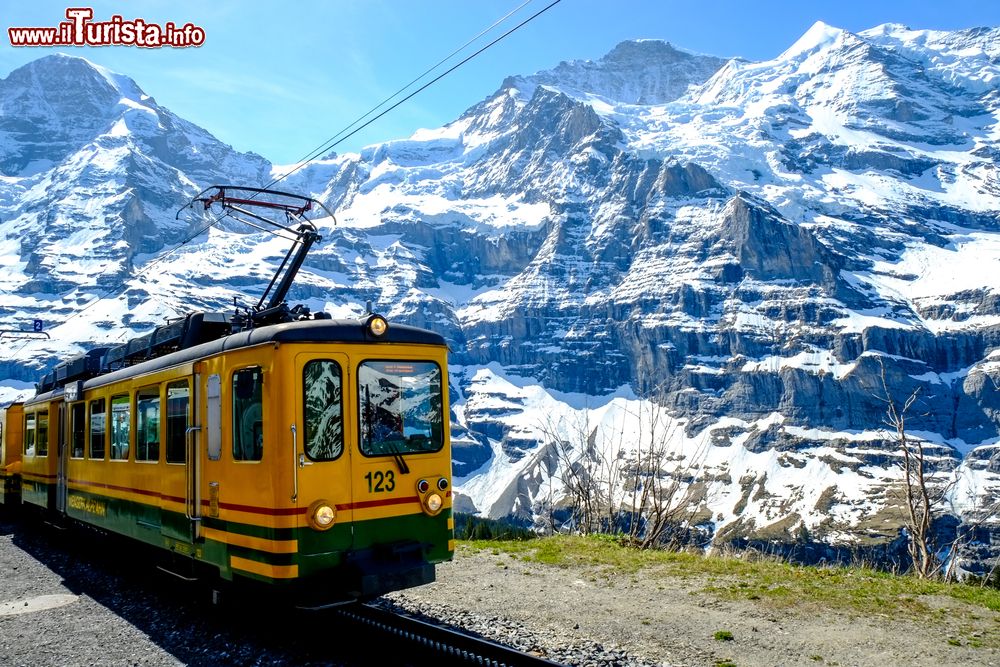 Immagine un treno sulla linea che collega Jungfraujoch con Lauterbrunnen, inaugurata nel 1912