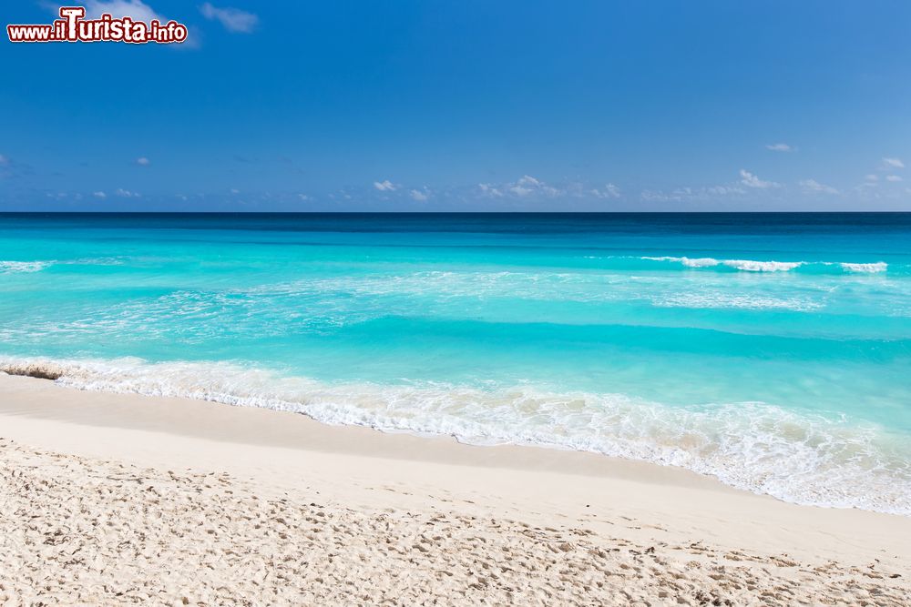Immagine Una delle spiagge bianche di Cuba: un dettaglio di Playa Perla Blanca a Cayo Santa María.