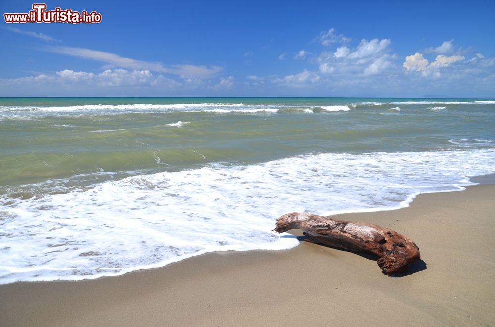 Immagine Una spiaggia libera e selvaggia a Marina di Massa in Toscana