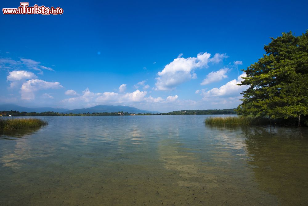 Immagine Una spiaggia vicino a Cadrezzate sul Lago di Monate in Lombardia