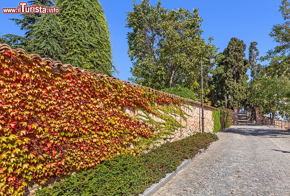 Immagine Una strada di Guarene in una magnifica giornata autunnale in Piemonte