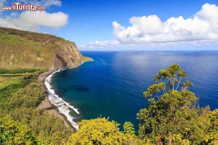 Immagine Il  Waipio Valley Lookout, il panorama seulla spiaggia nera dell'isola di Hawaii, USA