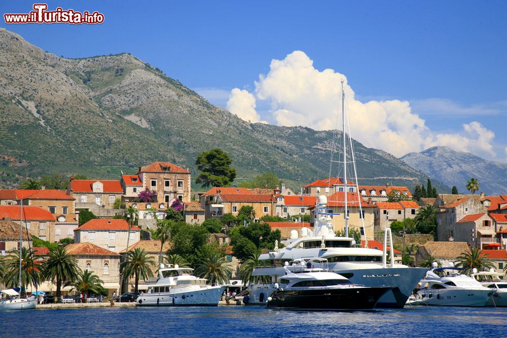 Immagine Yacht ormeggiati nel porto di Cavtat, cittadina di 2000 abitanti della Dalmazia, circa 20 km a sud di Dubrovnik.