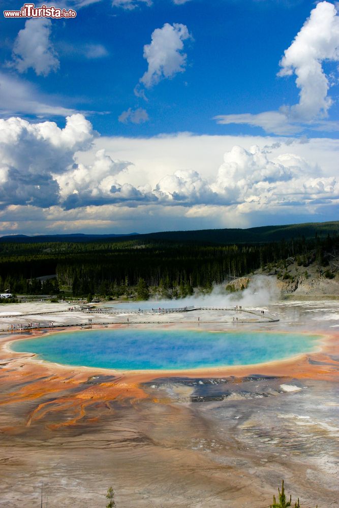 Immagine Yellowstone Grand Prismatic, il lago colorato dello Yellowstone, Wyoming. E' la sorgente di acqua calda pià grande degli Stati Uniti d'America e si contraddistingue per i suoi brillanti colori arcobaleno. La sua colorazione deriva da batteri pigmentati che crescono lungo i bordi delle sue acque ricche di minerali.