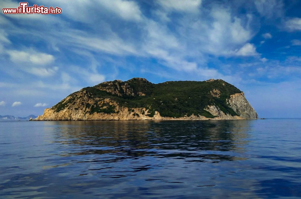 Immagine Zannone fa parte delle Isole Ponziane (o Pontine) e si trova a nord-est di Ponza, nel Lazio