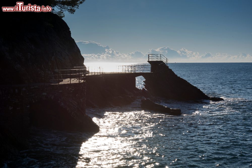 Immagine Zoagli, Genova: panorama della scogliera pedonale e del mar Ligure al calar del sole. Da qui si può ammirare uno dei più pittoreschi paesaggi naturali offerti dal borgo ligure.