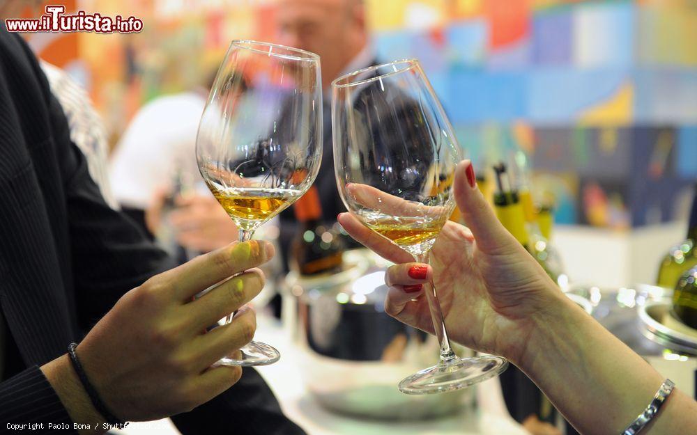 Vinitaly, Salone Internazionale del vino e dei distillati Verona