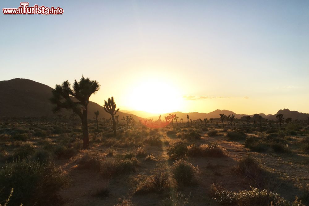 Immagine Zona desertica nei pressi di Palm Springs, California, al calar del sole.