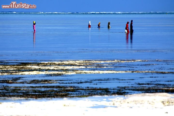 Immagine Bassa marea sulla spiaggia di Zanzibar