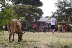 Orfanotrofio Tumaini for Africa Foundation - Arusha - Tanzania