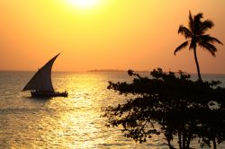 Un Dhoni nel mare di Zanzibar
