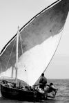 Zanzibar