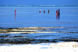 Bassa marea sulla spiaggia di Zanzibar