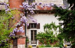 Il Giardino detto anche Orto Botanico di Brera a Milano, che fa parte del grande complesso di Palazzo di Brera - © pcruciatti / Shutterstock.com 