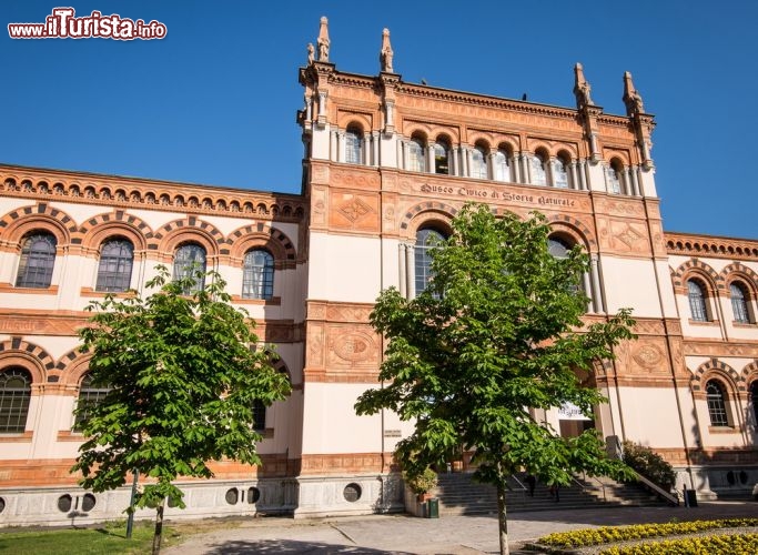 Immagine Museo di Storia Naturale a Milano: si trova all'interno dei Giardini Indro Montanelli - © UMB-O / Shutterstock.com