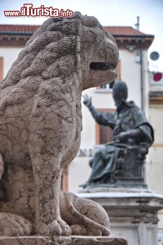 Immagine Leone in pietra  posto sulla scala d'accesso di Palazzo dell'Arengo a Rimini