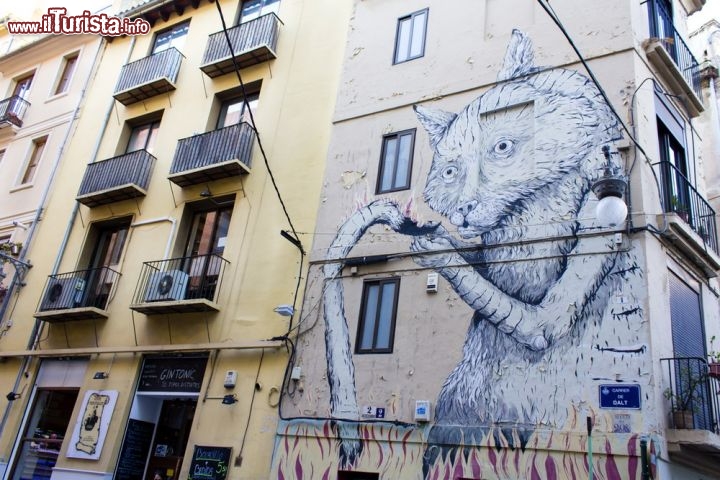 Street art a Valencia (Spagna)
Città moderna e antica al tempo stesso, la splendida Valencia, dopo il rilancio creato dalla Città delle Arti e delle Scienze dell'architetto Calatrava, ma anche delle gare di America's Cup del 2007, ha saputo reinventarsi anche nella sua zona storica.
Nel Barrio del Carmen, oggi fulcro della vita notturna locale, sono spuntati in questi anni, giorno dopo giorno, numerosi murales sulle facciate di grandi condomini, dando una nuova aria all'ambiente urbano - © Rrrainbow / Shutterstock.com 