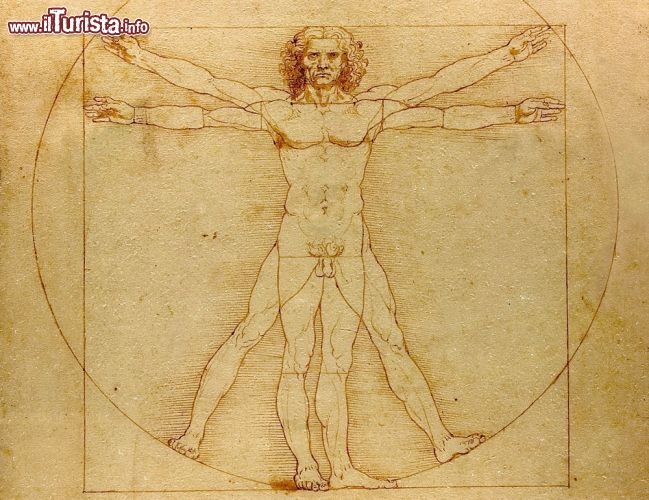 Immagine L' Uomo Vitruviano di Leonardo, il celebre disegno dell'artista toscano, che vede il corpo umano mirabilmente inscritto in un cechio ed un quadrato, si trova all'interno delle Gallerie dell'Accademia di Venezia - © Luc Viatour / www.Lucnix.be - Wikimedia Commons.