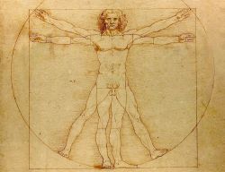 L' Uomo Vitruviano di Leonardo, il celebre disegno dell'artista toscano, che vede il corpo umano mirabilmente inscritto in un cechio ed un quadrato, si trova all'interno delle Gallerie ...