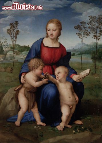 Immagine Raffaello Sanzio, Madonna del Cardellino, museo degli Uffizi di Firenze - Una delle personalità più significative di tutta l'arte moderna, esposta presso la Galleria degli Uffizi, ha destato e tuttora desta moltissimo stupore. Questo dipinto in particolare rappresenta un altissimo esempio di pathos che il Sanzio, sapeva trasmettere in modo quasi sussurrato, suggerendo allo spettatore un'emozione ma senza imporla.