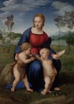 Raffaello Sanzio, Madonna del Cardellino, museo degli Uffizi di Firenze - Una delle personalità più significative di tutta l'arte moderna, esposta presso la Galleria degli ...
