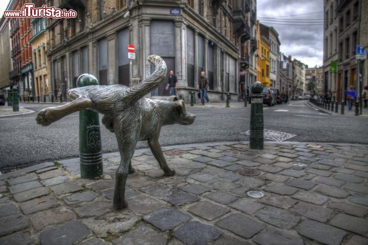 Immagine Zinneke Pis, una delle statue simbolo di Bruxelles: invece del celebre ragazzo, qui è un cane a compiere il suo bisogno in una piazza della capitale del Belgio - © Arcadiuš - CC BY 2.0 - Wikimedia Commons.