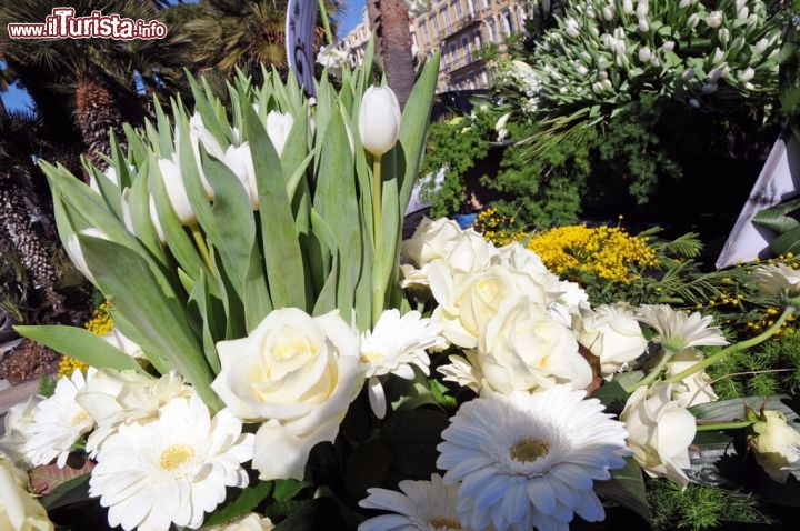 Dettaglio di alcuni fiori al Carnevale di Nizza: Oltre l'85% dei fiori sono di produzione locale