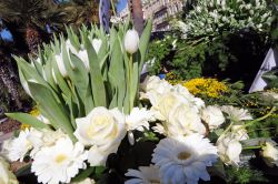 Dettaglio di alcuni fiori al Carnevale di Nizza: ...