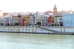 Barrio de Triana con le case colorate che s'affacciano sul canale Alfonso XIII, che separandosi dal fiume di Guadalquivir forma anche l'isola della Cartuja - © Ana del Castillo
/ ...