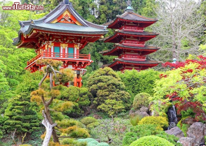 Giardino Giapponese, San Francisco, Expo 1894 - Gli elementi che concorrono a rendere il giardino da tè giapponese situato nel Golden Gate Park di San Francisco provengono da due esposizioni diverse, la California Midwinter International Exposition del 1894 e la Panama-Pacific International Exposition del 1915. Se il giardino come impianto appartiene alla prima, sono della seconda le grandi porte in legno ornamentali e una pagoda  - © Tupungato / Shutterstock.com