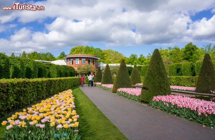 Immagine II colori della primavera fotografati all'interno del Parco Keukenhof, i famosi giardini della regione dei tulipani in Olanda - © Alxcrs / Shutterstock.com