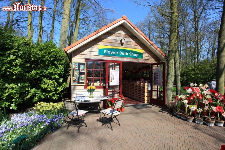 Immagine Vendita di bulbi di tulipano ed altri fiori. Siamo a Keukenhof, città di Lisse, il parco più famoso dell' Olanda in primavera - © Beijersbergen / Shutterstock.com