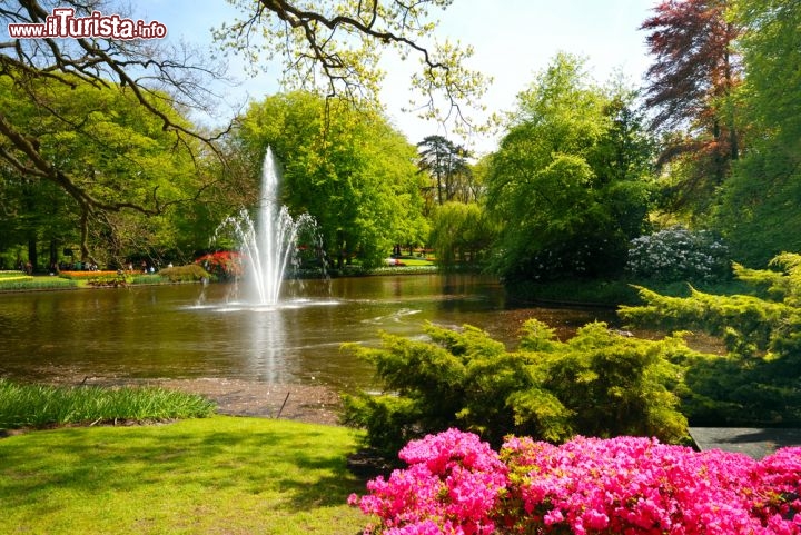 Immagine Itinerario nella natura all'interno del Parco di Keukenhof in Olanda  - © Olena Mykhaylova / Shutterstock.com