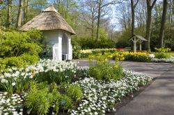 Visitando il parco-giardino di Keukenof a Lisse in Olanda - © PHB.cz (Richard Semik) / Shutterstock.com