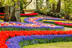 Passeggiando dentro al Keukenhof, il magico parco fiorito dell'Olanda Meridionale, vicino alla città di Lisse - © Shebeko / Shutterstock.com