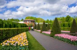 II colori della primavera fotografati all'interno del Parco Keukenhof, i famosi giardini della regione dei tulipani in Olanda - © Alxcrs / Shutterstock.com 