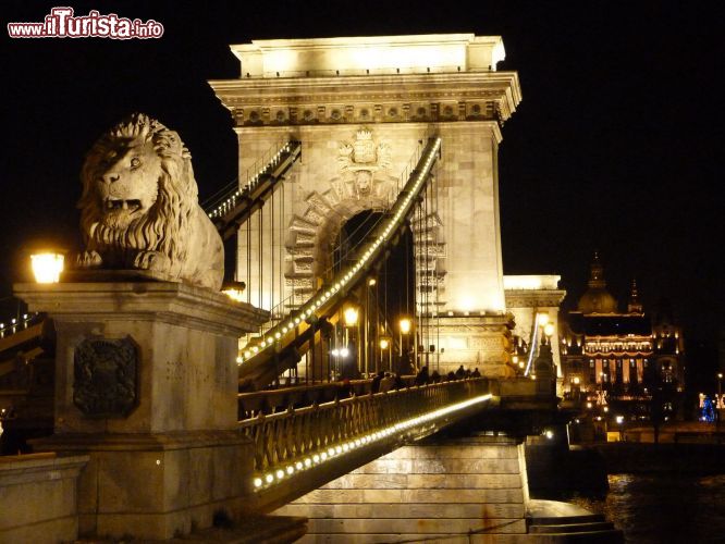 Immagine Uno dei quattro Leoni di marmo che adornano il Ponte delle Catene a Budapest - © Monica Mereu