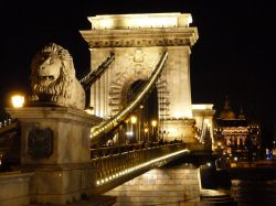 Uno dei quattro Leoni di marmo che adornano il Ponte delle Catene a Budapest - © Monica Mereu