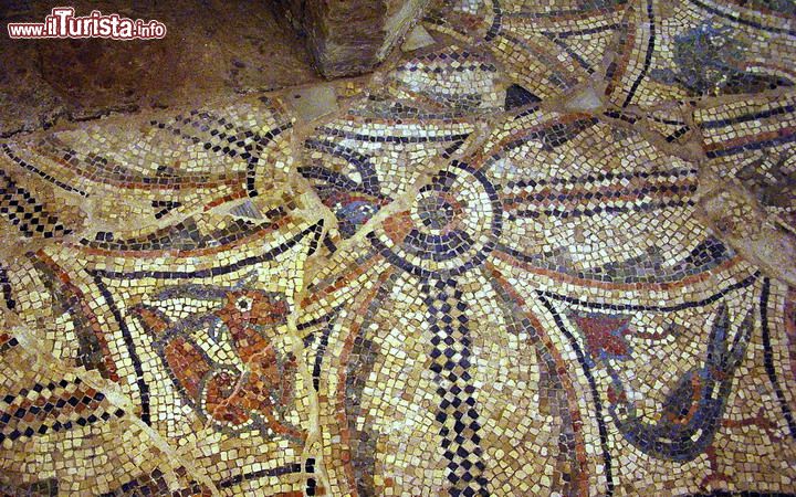 Mosaici della Cripta Rasponi/Giardini Pensili: più intima e riservata quest'area, la differenza risiede nei mosaici che sono situati nel pavimento. Il rivestimento risale al XVIII° secolo circa con molta probabilità e il fatto che risieda vicino alla Tomba di Dante, la rende una visione per certi versi piuttosto mistica e delicata, sicuramente dall'impatto emotivo tenue, visti anche i bicromatici cromatismi musivi.
© Federfabbri - Wikipedia.org 