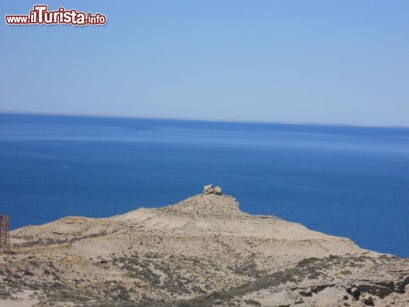 Immagine ...la penisola valdes  anche questo...