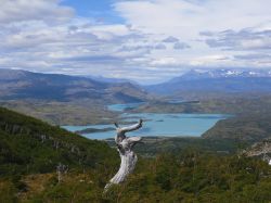 ...lo scatto pi bello di Torres del Paine...