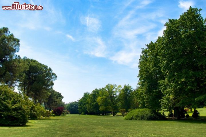Immagine La magia del paesaggio bucolico che si ammira nel Parco giardino Sigurtà, il grande polmone verde di Valeggio sul Mincio