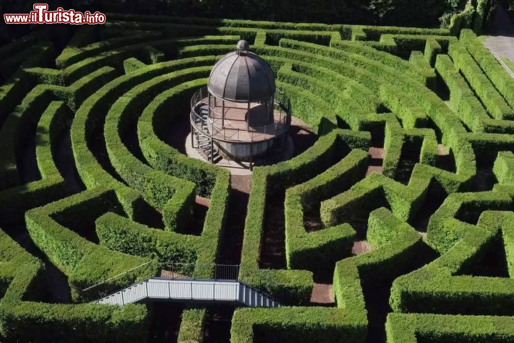 Immagine Il Labirinto del Parco Sigurtà a Valeggio sul Mincio