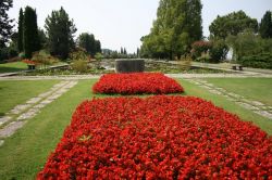 Una gita a Valeggio sul Mincio in primavera viene  ricompensata dalla magica fioritura che colora il giardino Sigurtà