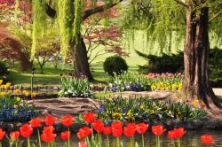 L'intreccio dei colori riesce a sorprendervi ad ogni passo, camminando lungo i percorsi del Parco Giardino Sigurtà di Valeggio sul Mincio, a sud di Verona