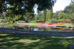 Passeggiare lungo il paesaggio incantato del Parco Giardino Sigurta a Valeggio sul Mincio (VR)