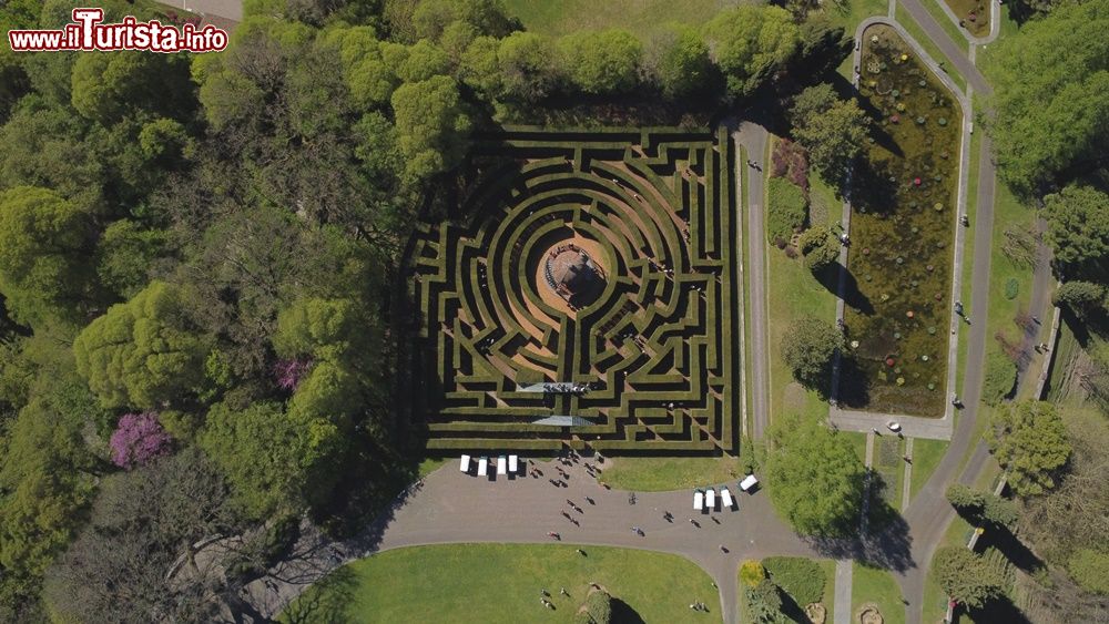 Immagine Veduta aerea del labirinto del Parco Sigurtà di Valeggio sul Mincio (Lombardia)