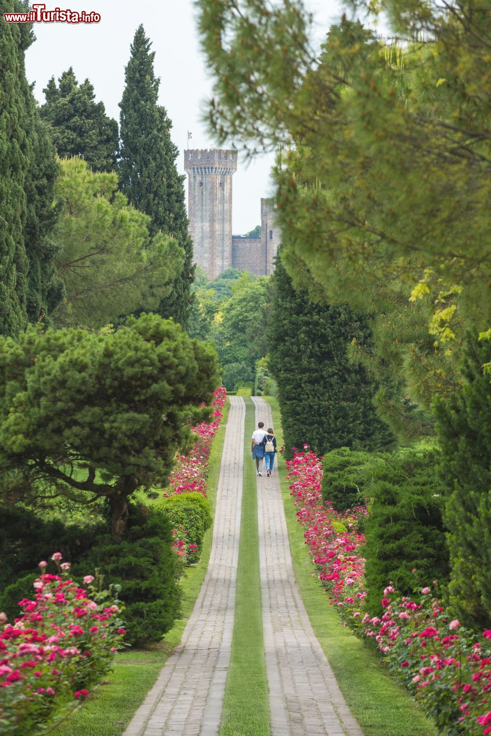 Immagine Veduta di un viale dentro al Parco Sigurtà a Valeggio sul Mincio, Lombardia