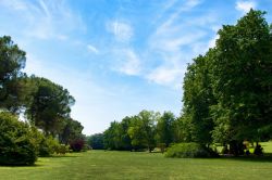 La magia del paesaggio bucolico che si ammira nel Parco giardino Sigurtà, il grande polmone verde di Valeggio sul Mincio